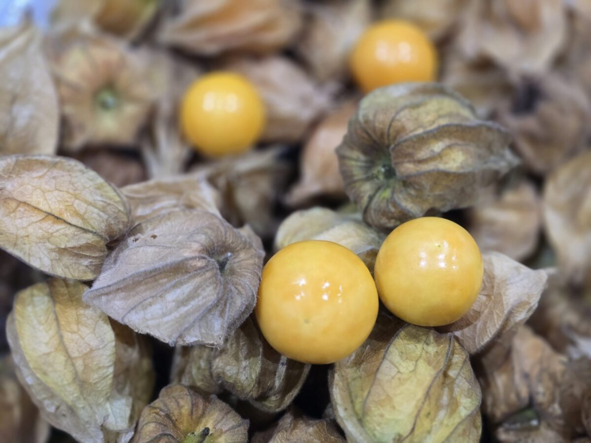 Uchuvas con cascara