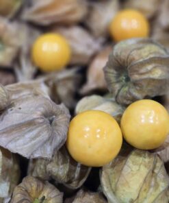 Uchuvas con cascara