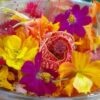 Flores comestibles