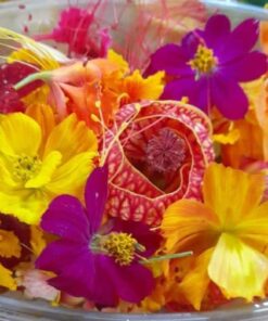Flores comestibles