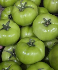 Tomate milano verde