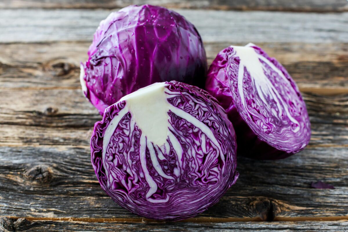 Repollo morado