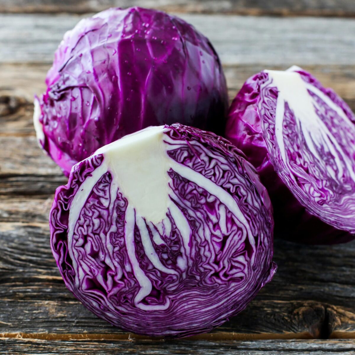 Repollo morado