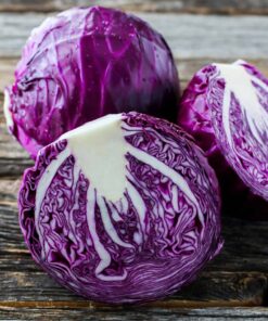 Repollo morado