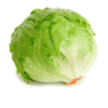 Lechuga batavia
