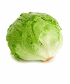 Lechuga batavia
