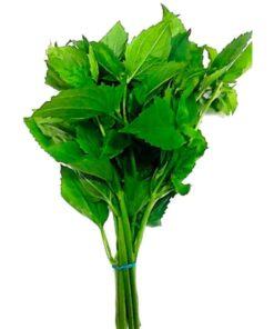 Guacas