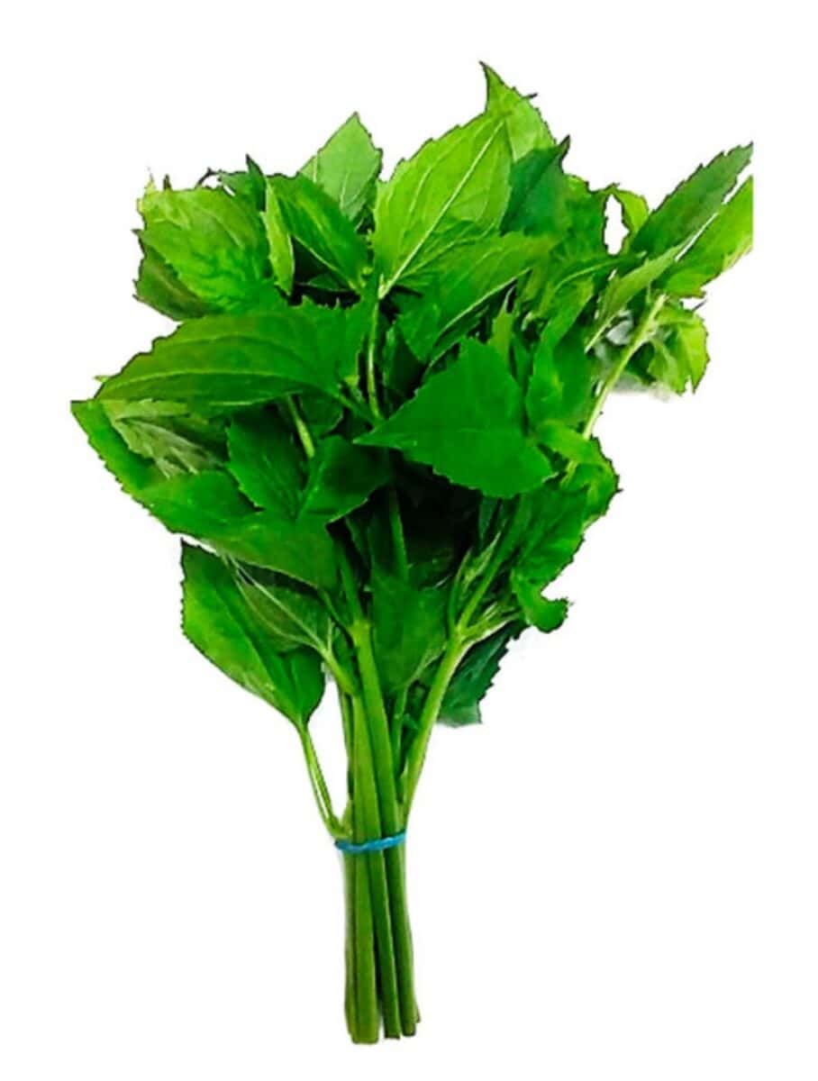 Guacas