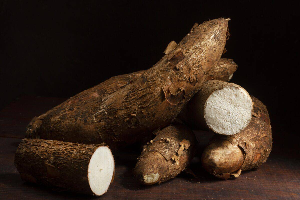 Yuca