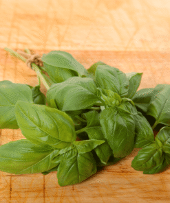 Albahaca