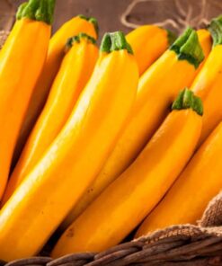 Zukini amarillo