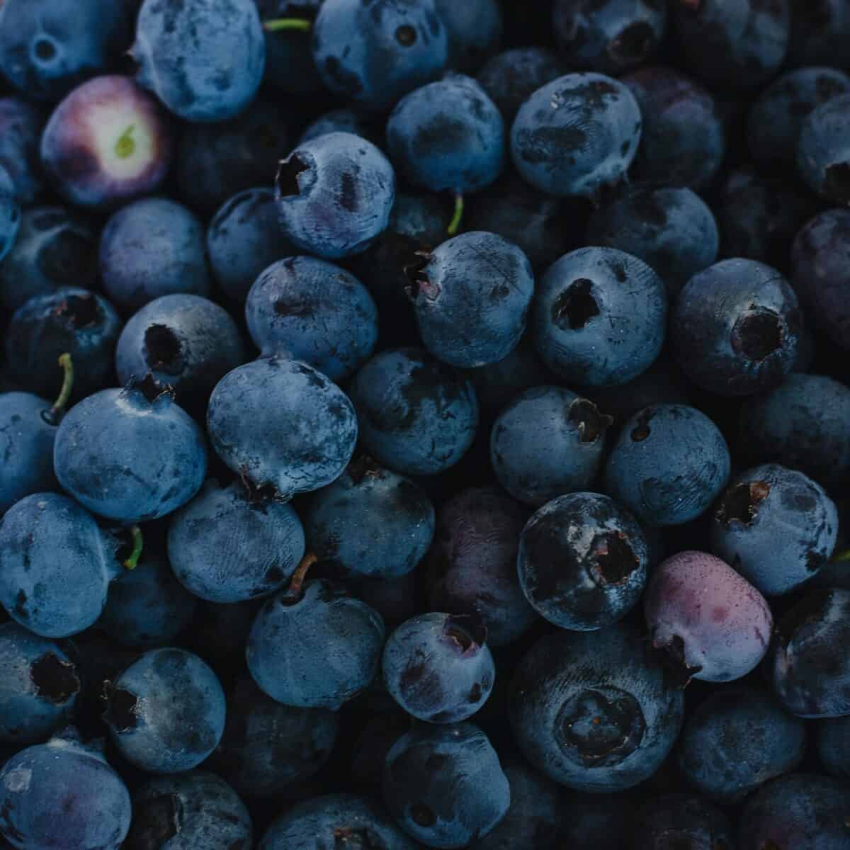 Arandanos