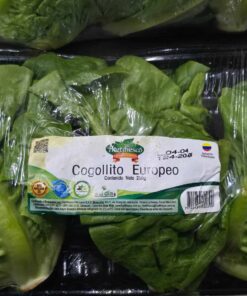 Cogollo europeo