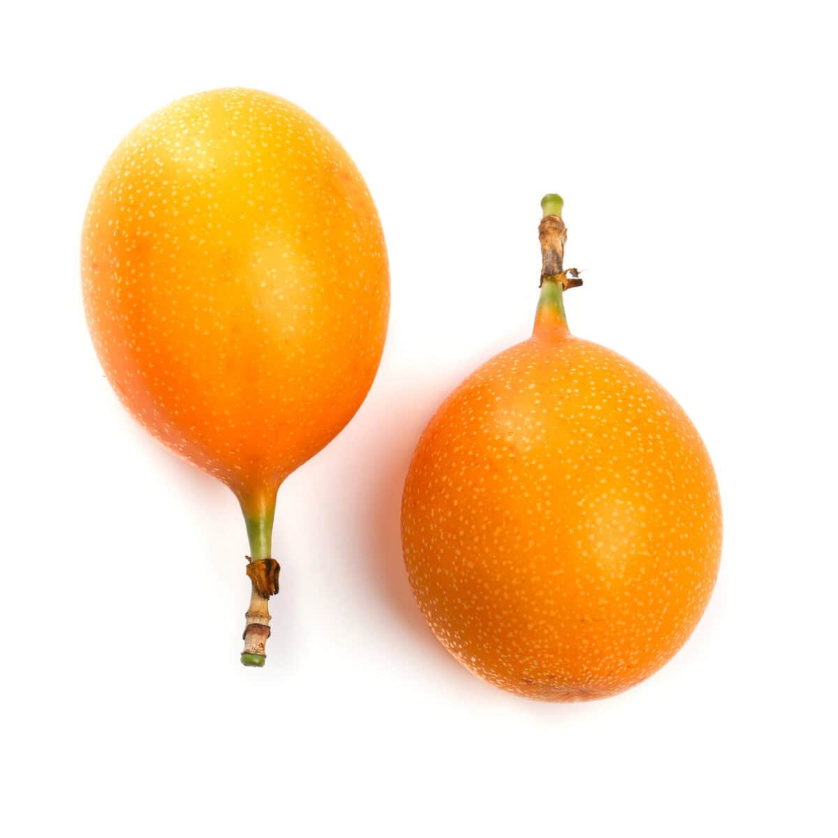 Granadilla