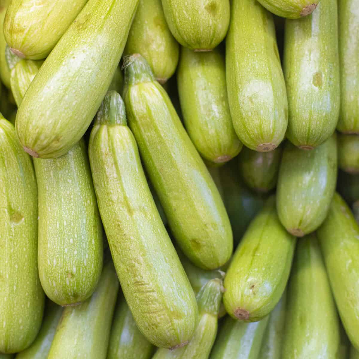Zukini verde