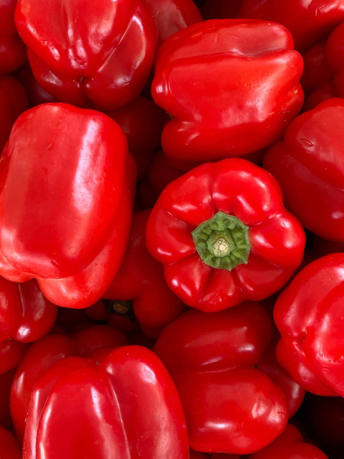 Pimenton rojo