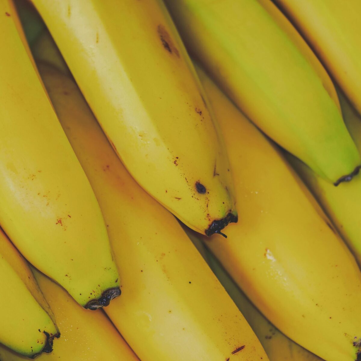 Banano