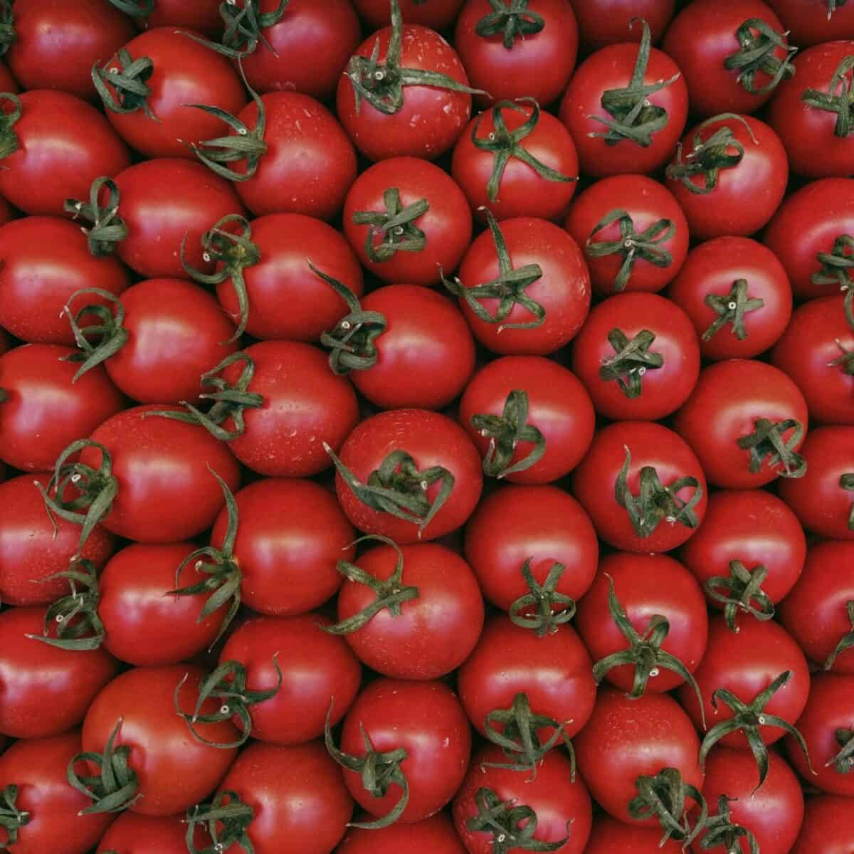 Tomate cherry