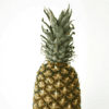 Piña perolera
