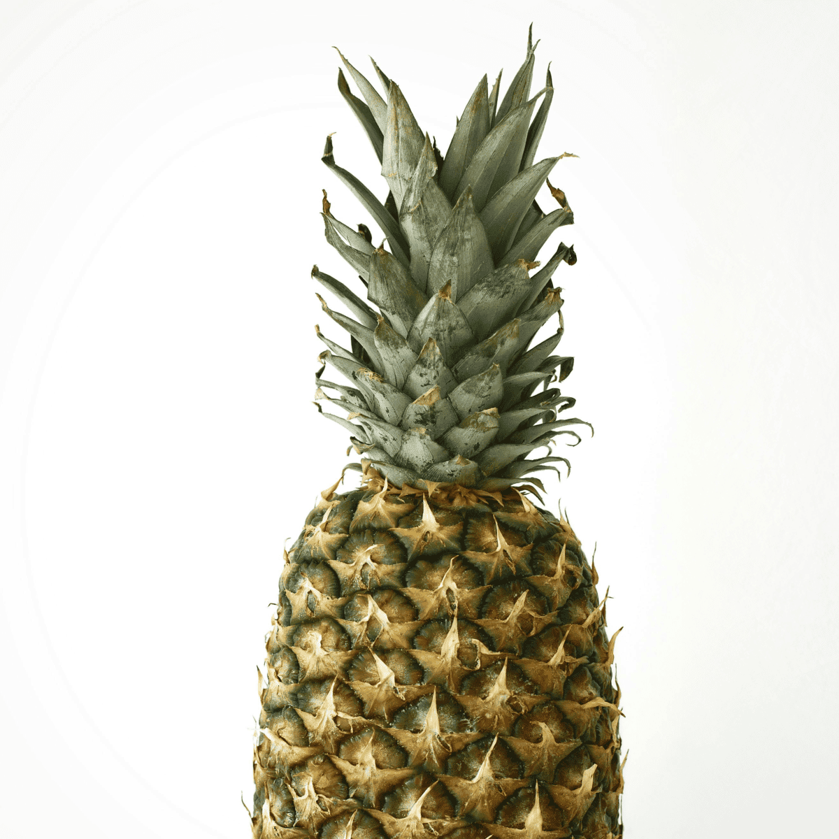Piña perolera