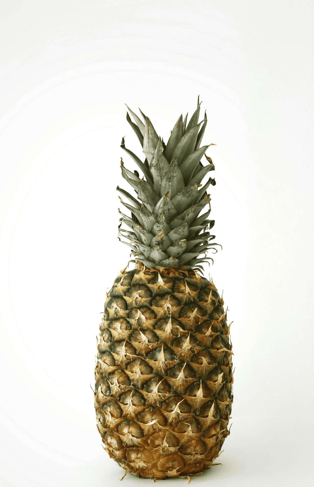 Piña perolera