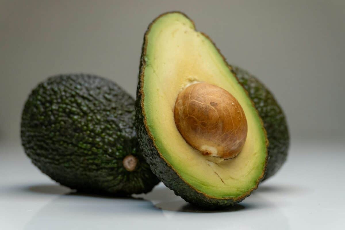 Aguacate Hass