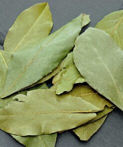 Laurel
