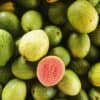 Guayaba
