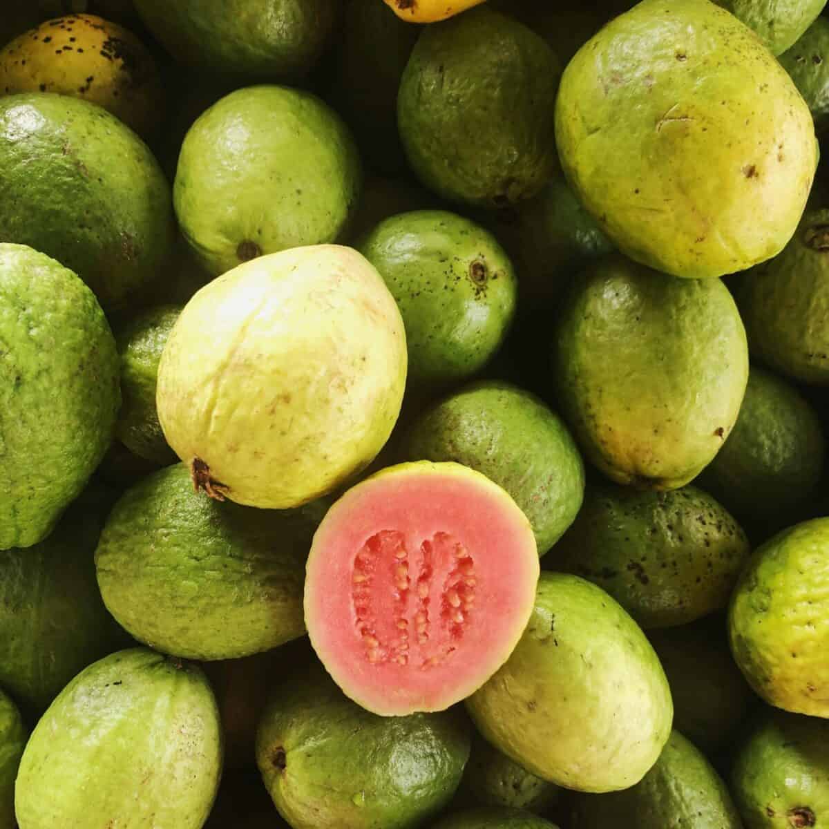 Guayaba