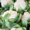 Coliflor