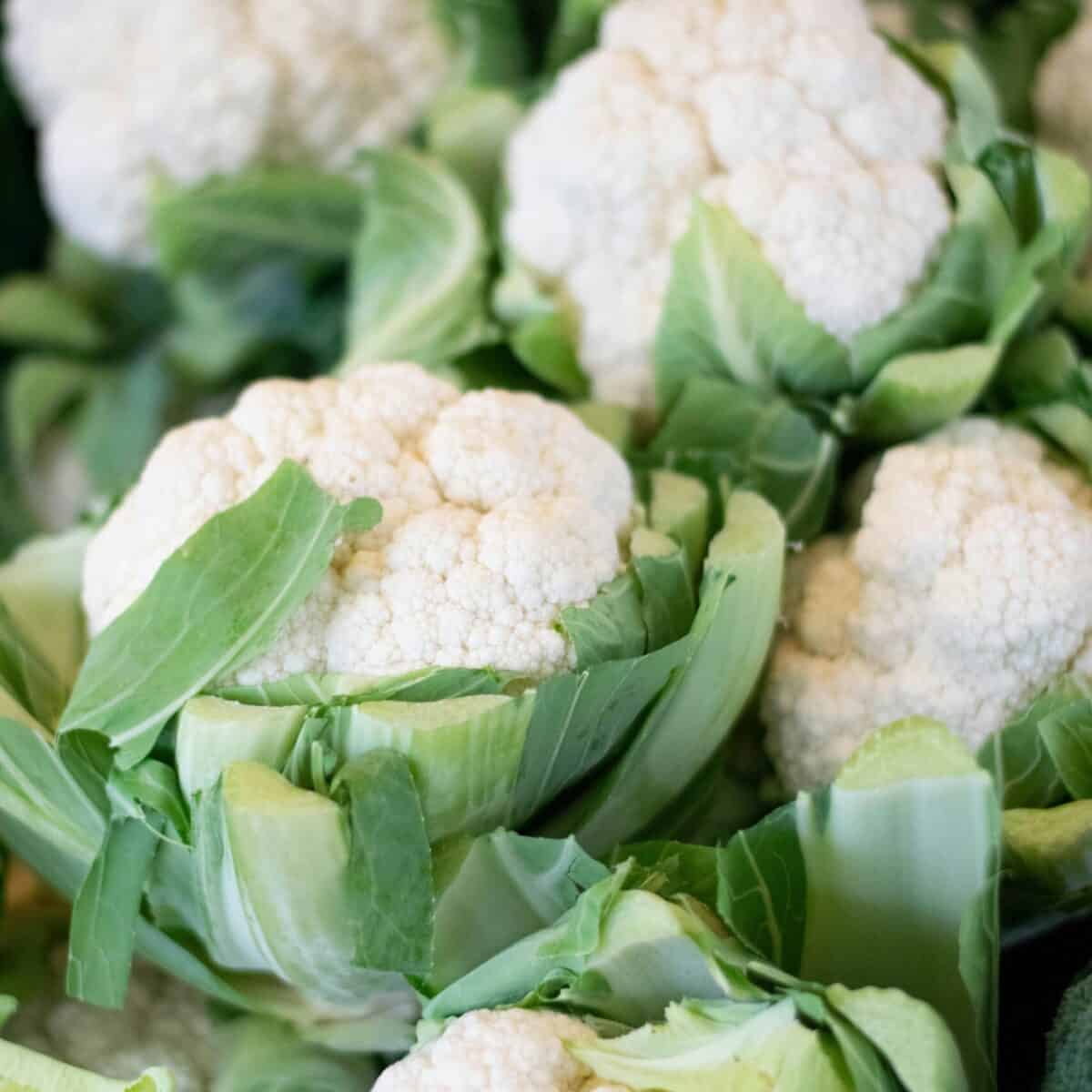 Coliflor
