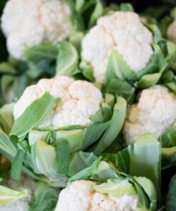 Coliflor