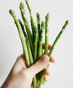 Esparragos