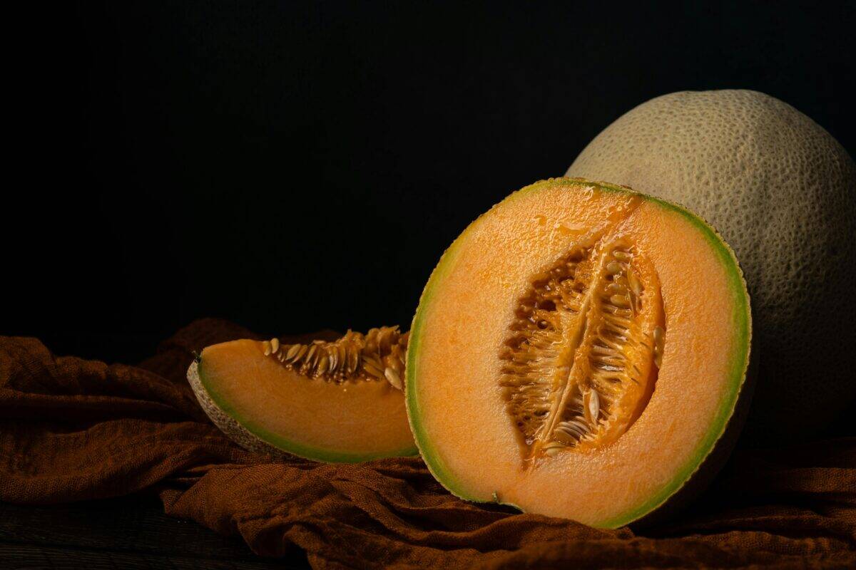 Melon