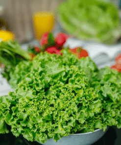 Lechuga crespa verde