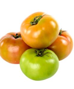 Tomate larga vida