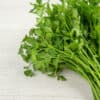 Cilantro completo