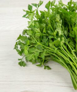 Cilantro completo