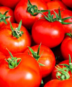 Tomate guiso
